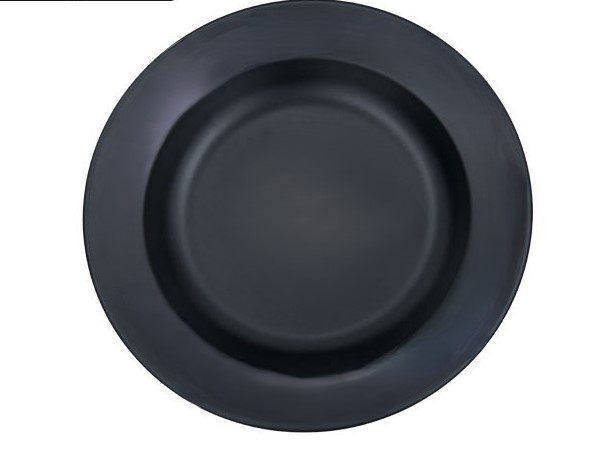 Stainless steel light portable dinner plate 11